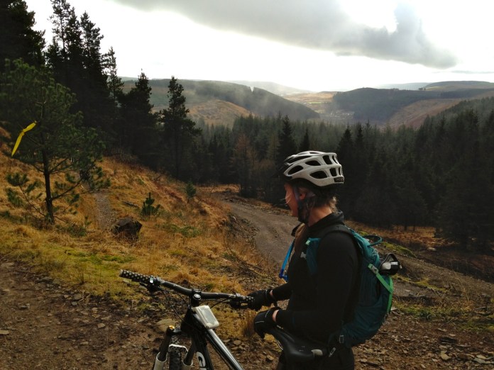 Taking it all in photo 2_2